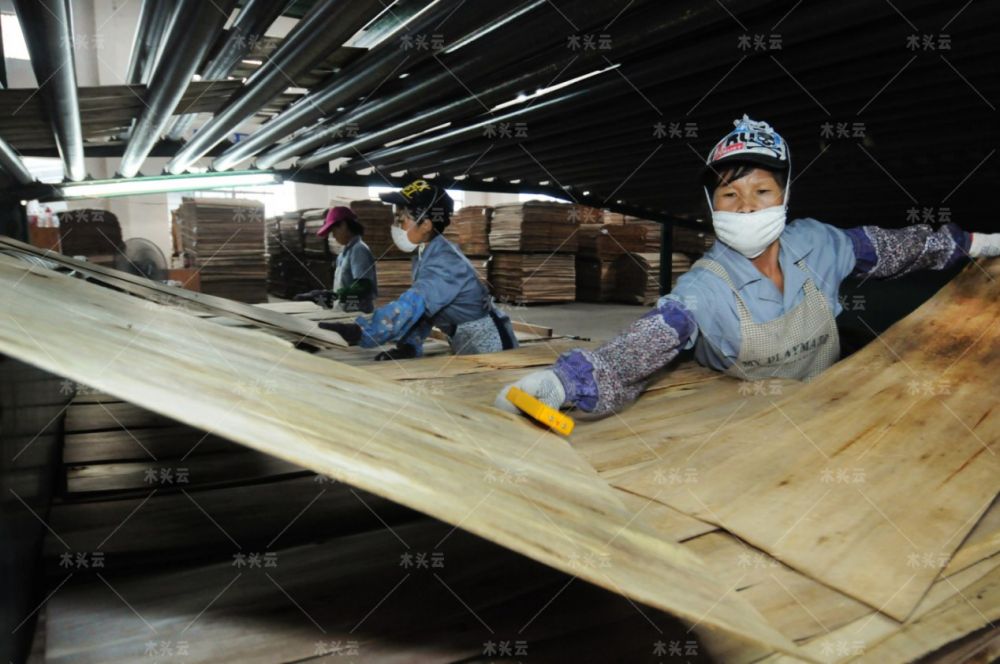 5月我国胶合板出口大涨，但俄罗斯进口木材却下降近19%