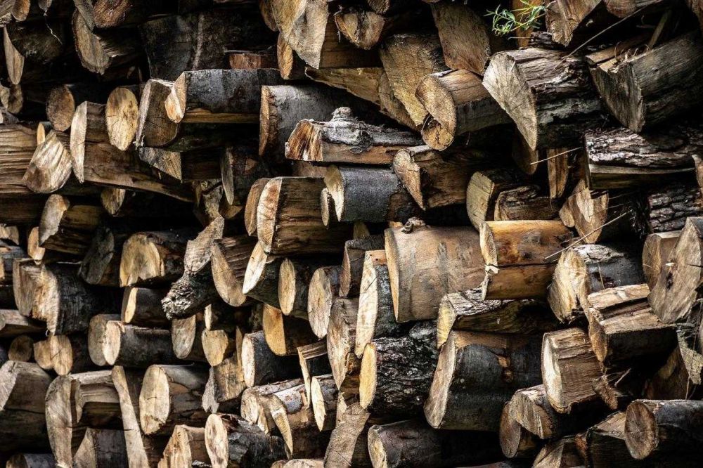 挪威取代俄罗斯成为欧盟最大的软木原木供应商
