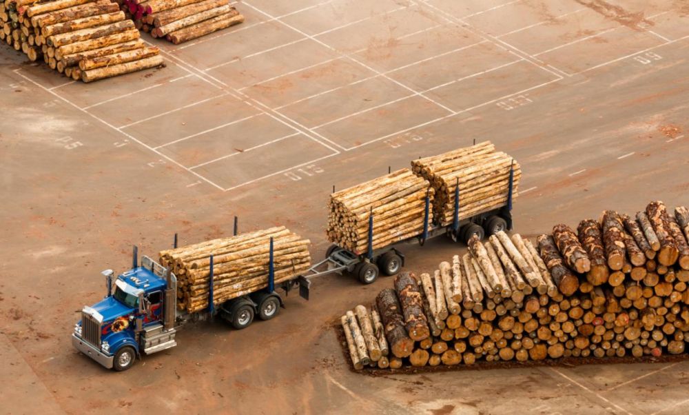 英国林业贸易协会警告：我们正进入木材短缺危机