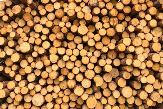 乌德穆尔特对我国木材出口大幅减少