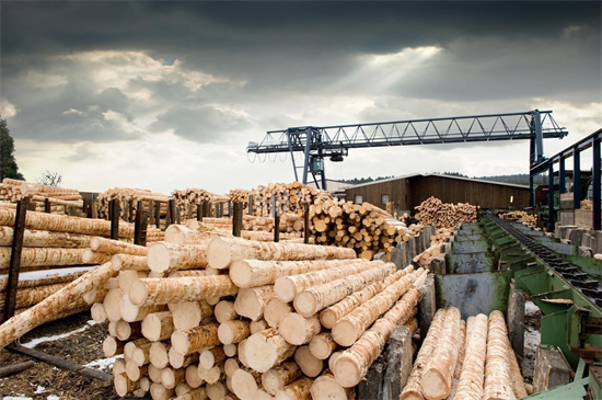 吉尔吉斯斯坦对木材出口实施临时限制
