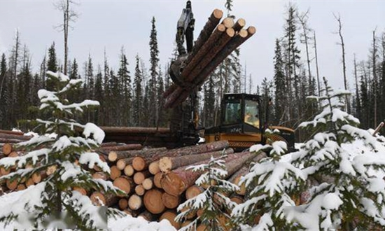 俄罗斯木材加工厂或将搬迁至西伯利亚及远东地区